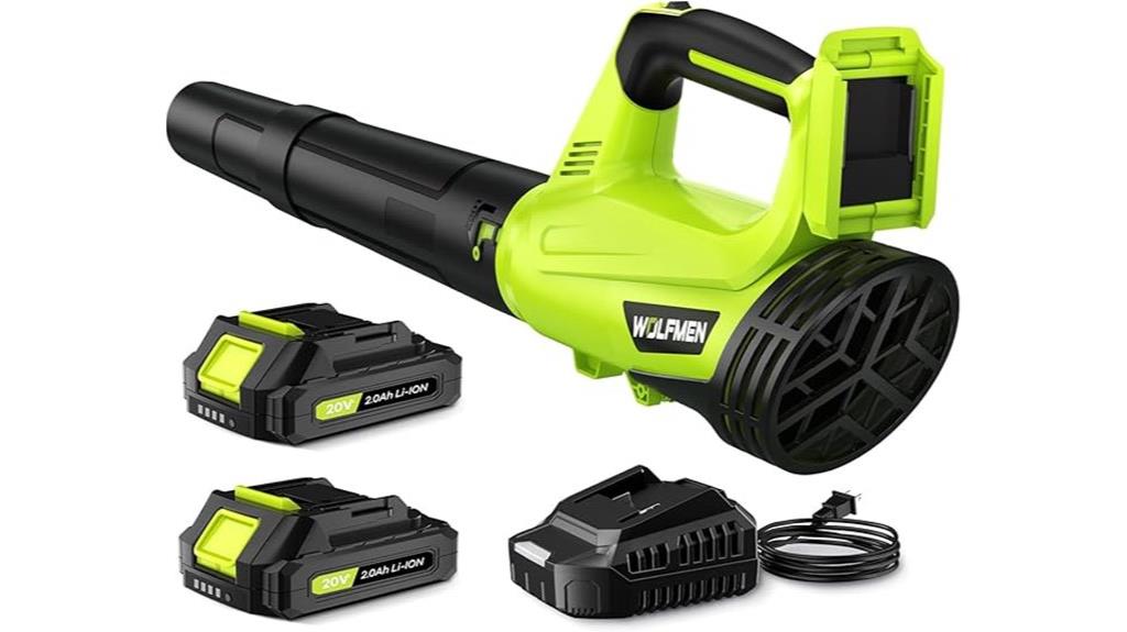 cordless blower with batteries