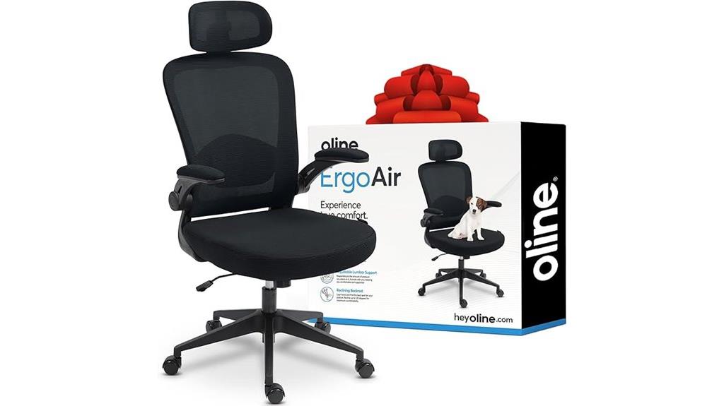 ergonomic online office chair