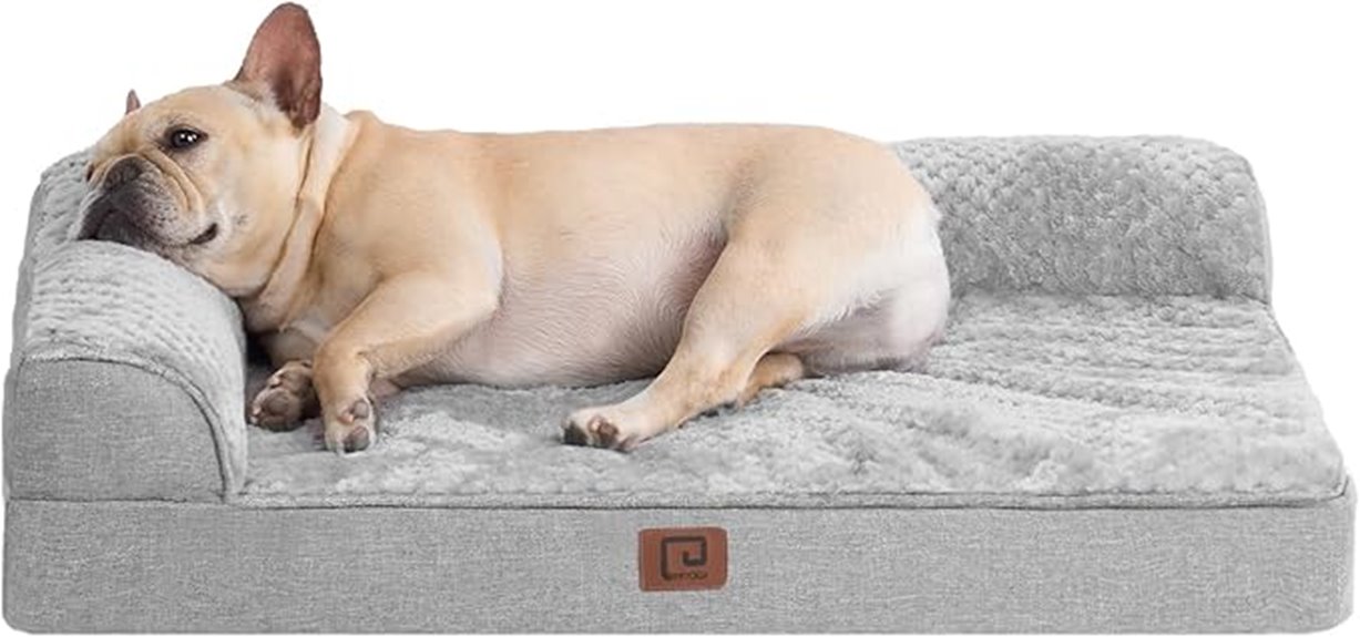 medium dog memory foam bed