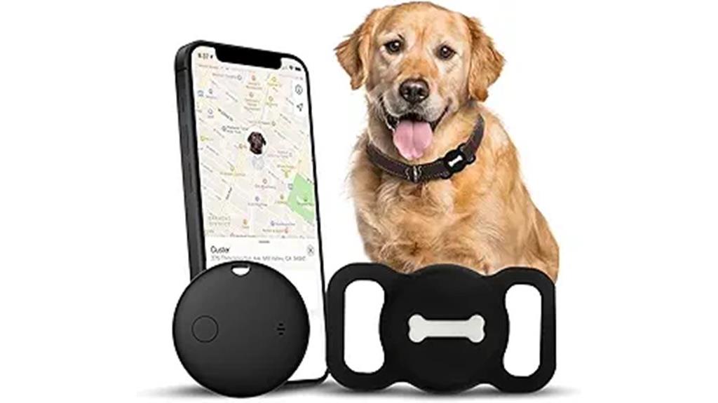 pet gps with collar