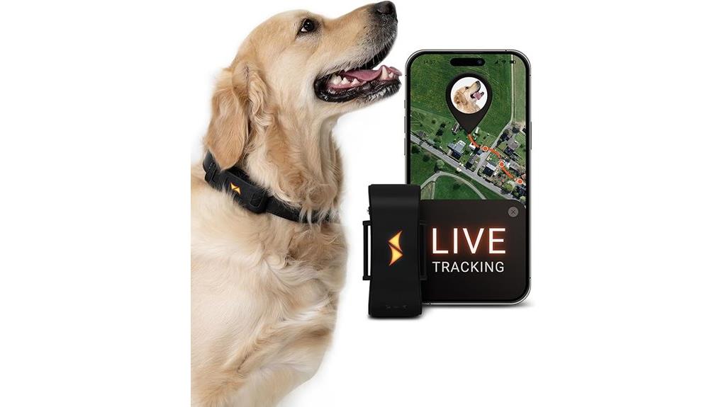 real time 4g gps tracker