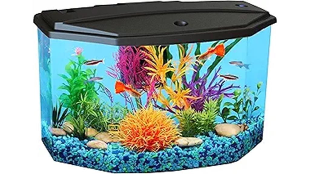 small aquarium starter kit