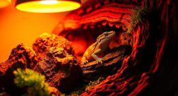 top reptile heat lamp options