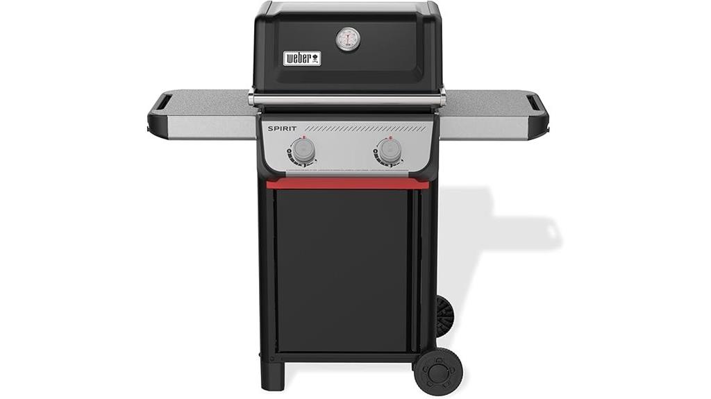 two burner liquid propane grill