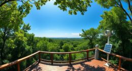 understanding environmental data