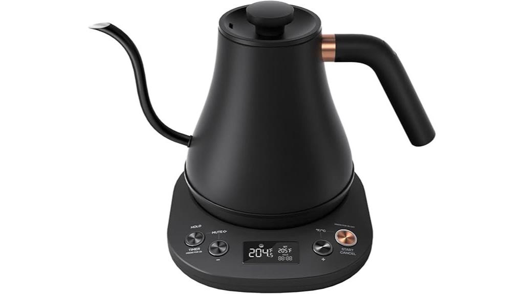 electric gooseneck kettle with temperature control