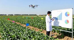 field trial statistical methods