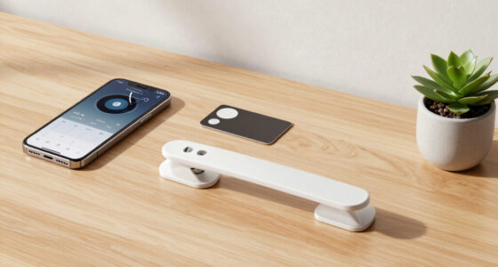 The Door: Why the Interface Is Worth More Than the Model